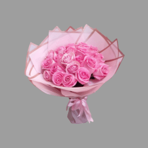 20 Rose Revival Pink