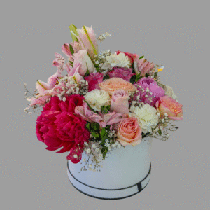 Colourful Mixed Flowers Box S